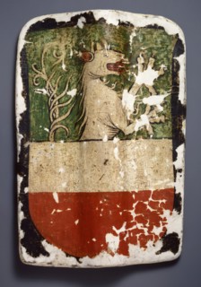 Shield