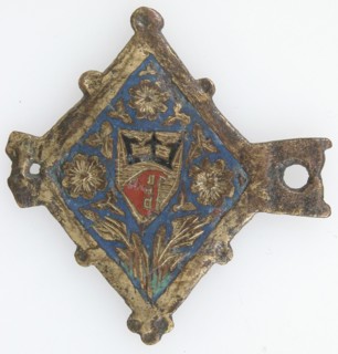 Harness Pendant