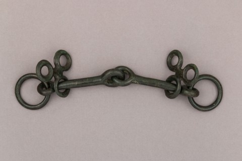 Snaffle Bit