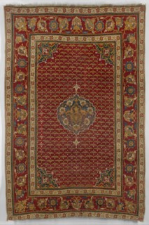 Carpet
