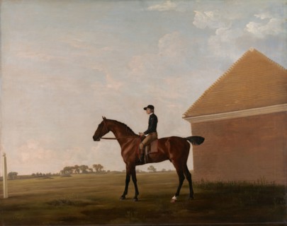 Turf, with Jockey up, at Newmarket;Portrait of 'Turf' with Jockey up, ca. 1766.