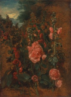Study of Hollyhocks;Hollyhocks, ca. 1826.