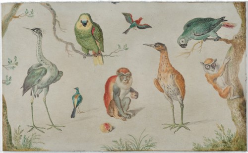 Study of Birds and Monkeys, 1660/1670.