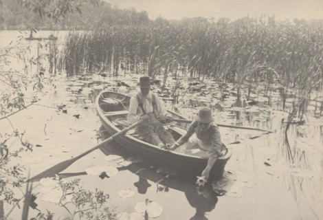 Gathering Water-Lilies, 1886.