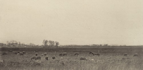 Marshes by the North Sea, 1890-1891, printed 1893.