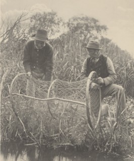 Setting Up the Bow-Net, 1886.