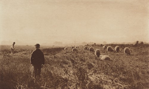 The Marshes in June, 1890-1891, printed 1893.