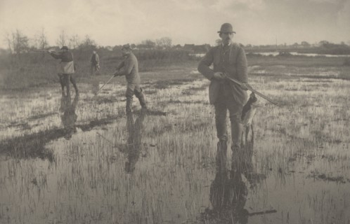 Snipe-Shooting, 1886.