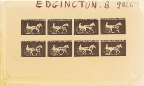 Internegative for Horses. Trotting. Abe Edgington. No. 28, 1878.