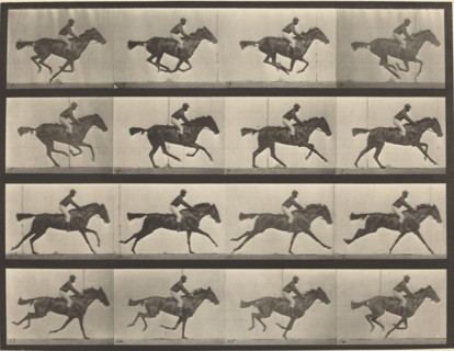 Plate Number 626. Gallop, thoroughbred bay mare, Annie G., 1887.