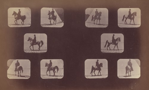 Studies of Foreshortenings. Horses. Walking. Mahomet. Nos. 119-120, 1879.