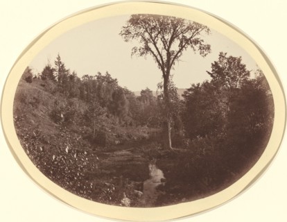Landscape near Williams College, c. 1870.