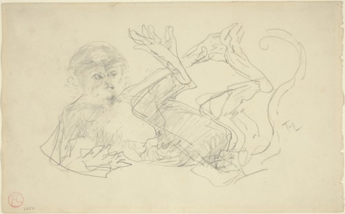 A Monkey Playing on His Back, 1880.