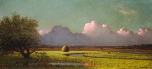 Sunlight and Shadow: The Newbury Marshes, c. 1871/1875.