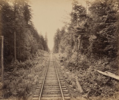 Hemlock Forest, c. 1895.