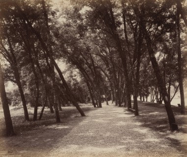 Picnic Grounds, c. 1895.