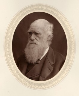 Portrait of Charles Darwin (1809-1882), 1877. Private Collection.