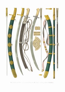 The sabres of Prince Dmitry Pozharsky and Kuzma Minin. From the Antiquities of the Russian State, 1849-1853. Private Collection.