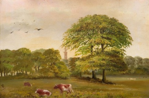 Tower Edgbaston Pumping Station, 1894. View from the back of a farm in Rotton Park Road, Edgbaston, towards the tower at Edgbaston Pumping Station, Birmingham.
