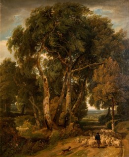 Driving Home The Flock, 1806.