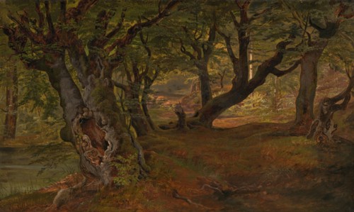 View of Bregentved Forest, Sjaeeland, mid 1830s.