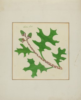 Pieced Autograph Quilt (1 Piece), c. 1936.