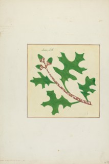 Autograph Quilt, 1935/1942.