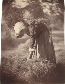 Peasant, c. 1870.