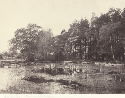 Marsh at Piat (Belle-Croix Plateau), c. 1863.