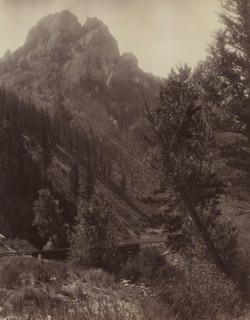 Untitled, c. 1884.