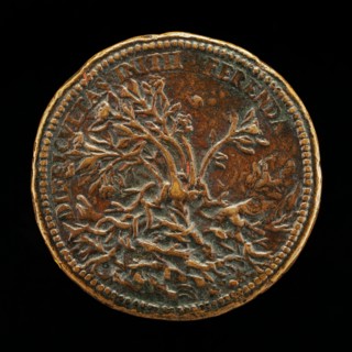 Flowering Shrub Growing through Thorns [reverse], c. 1570.