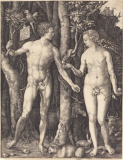 Adam and Eve, 1504.