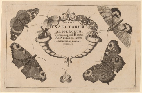 Title Page.