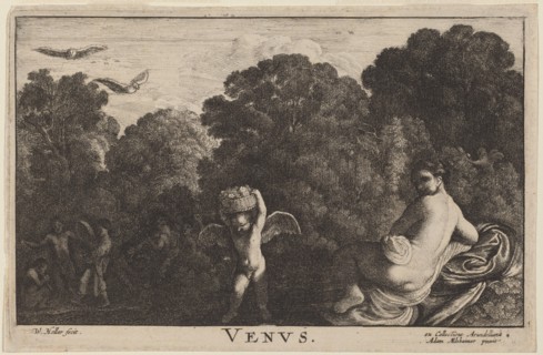 Venus.