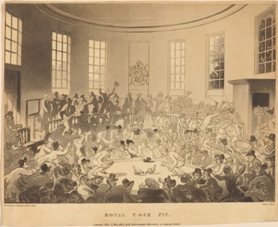 Royal Cock Pit, published 1808.
