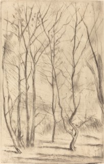 The Dam Wood, 1875.