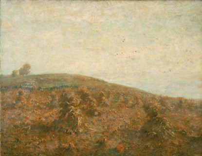 The Cornfield.