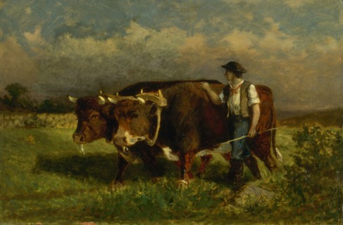 Untitled (man with two oxen), 1869.