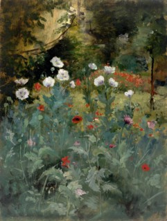 Poppies, late 19th-early 20th century.