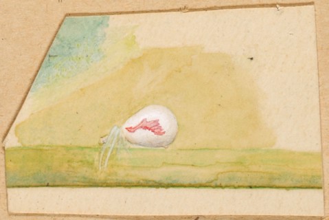 Porcelain-White Spider, late 19th-early 20th century.