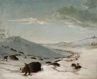 Buffalo Chase in Winter, Indians on Snowshoes, 1832-1833. Indians in snow shoes had an advantage over bison who sank in deep snow.