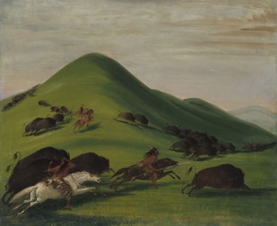 Buffalo Chase over Prairie Bluffs, 1832-1833.