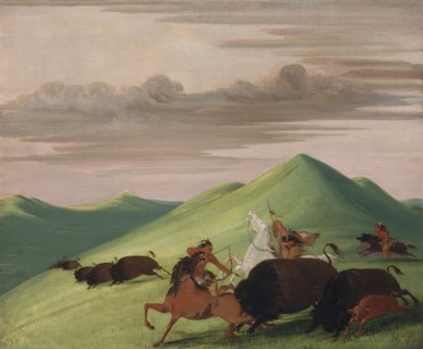 Buffalo Chase, Bull Protecting a Cow and Calf, 1832-1833.