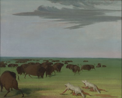 Buffalo Hunt under the Wolf-skin Mask, 1832-1833.