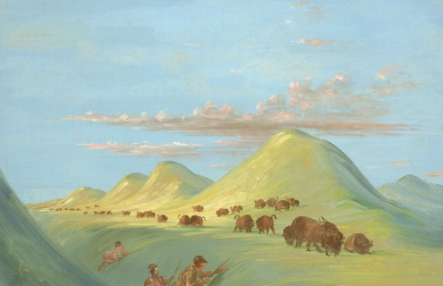 Batiste, Bogard, and I Approaching Buffalo on the Missouri, 1837-1839.