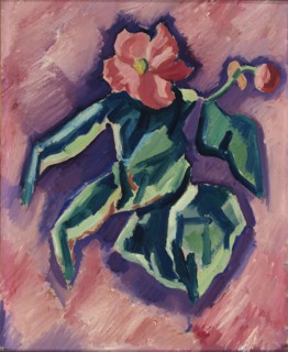 Pink Begonias, 1928-1929.
