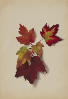 Untitled (Autumn Leaves), 1874.