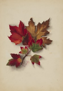 Untitled (Autumn Leaves), 1874.