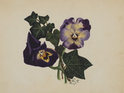 Untitled (Pansies and Ivy), 1876.