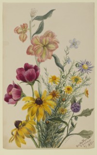 Group of Flowers, 1881.